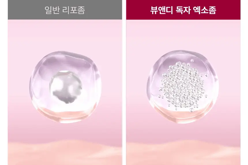 [줄기세포 넥패치/목주름] 뷰앤디 넥실키 마스크 (1매입/5매입) 상세페이지 33